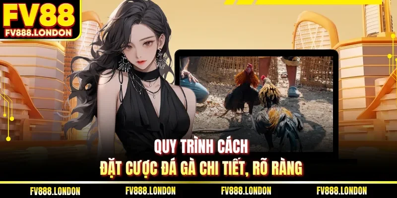 Cách Đặt Cược Đá Gà Chi Tiết Sân Chơi FV88 Hiệu Quả Nhất Quy trình cách đặt cược đá gà chi tiết, rõ ràng